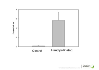8




                    6
Percent fruit set




                    4




                    2




                    0
                        0       1         2                                                     3
                            Control   Hand pollinated




                                           The New Zealand Institute for Plant & Food Research Limited
 