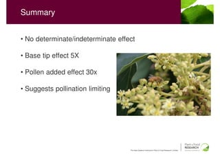 Summary


• No determinate/indeterminate effect

• Base tip effect 5X

• Pollen added effect 30x

• Suggests pollination limiting




                                   The New Zealand Institute for Plant & Food Research Limited
 