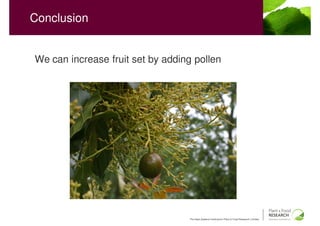 Conclusion


We can increase fruit set by adding pollen




                                  The New Zealand Institute for Plant & Food Research Limited
 