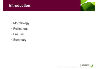 Introduction:



 • Morphology
 • Pollinators
 • Fruit set
 • Summary




                 The New Zealand Institute for Plant & Food Research Limited
 