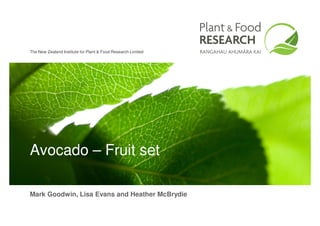 The New Zealand Institute for Plant & Food Research Limited




Avocado – Fruit set

Mark Goodwin, Lisa Evans and Heather McBrydie
 