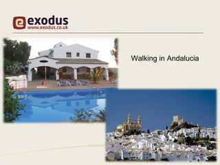 Walking in Andalucia
 