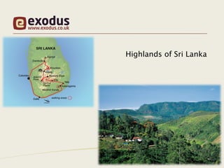 Highlands of Sri Lanka
 