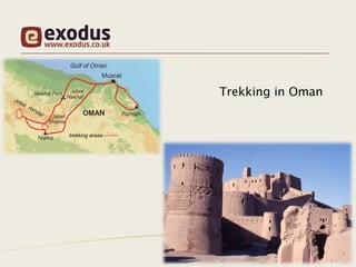 Trekking in Oman
 
