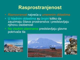 Rasprostranjenost Raznovrsnost  najveća u  umerenim oblastima U hladnim oblastima  su   brojni   toliko da zauzimaju čitava prostranstva i predstavljaju njihovu osobenost  Na visokim planinama  predstavljaju glavne pokrivače tla 