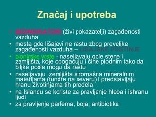 Značaj i upotreba  BIOINDIKATORI   (živi pokazatelji)  zagađenosti vazduha  mesta gde lišajevi ne rastu zbog prevelike zagađenosti vazduha –  LIŠAJSKE PUSTINJE pionirske vrste   - naseljavaju  gol e  sten e  i zemljišta, koje obogaćuju  i čine plodnim   tako da biljke posle mogu da rastu naseljavaju  zemljiš t a siromašn a  mineralnim materijama (tundre na severu)  i  predstavljaju hranu životinjama tih predela  na Islandu se  koriste za pravljenje hleba i ishranu ljudi  za pravljenje parfema ,  boja , antibiotika 
