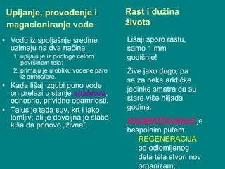 Upijanje, provođenje i magacioniranje vode   Vodu iz spoljašnje sredine uzimaju na dva načina:  1. upijaju je iz podloge celom površinom tela;  2. primaju je u obliku vodene pare iz atmosfere.  Kada lišaj izgubi puno vode on prelazi u stanje  anabioze , odnosno, prividne obamrlosti.  Talus je tada suv, krt i lako lomljiv, ali je dovoljna je slaba kiša da ponovo „živne”. Rast i dužina života Lišaji sporo rastu, samo 1 mm godišnje! Žive jako dugo, pa se za neke arktičke jedinke smatra da su stare više hiljada godina. RAZMNOŽAVANJE  je bespolnim putem. REGENERACIJA  od odlomljenog dela tela stvori nov organizam; 