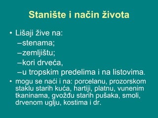 Stanište i način života Lišaji žive na:  stenama;  zemljištu;  kori drveća,  u tropskim predelima i na listovima .  mogu se naći i na: porcelanu, prozorskom staklu starih kuća, hartiji, platnu, vunenim tkaninama, gvožđu starih pušaka, smoli, drvenom uglju, kostima i dr.  
