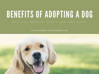 Benefits of Adopting a Dog | Lisa Landman