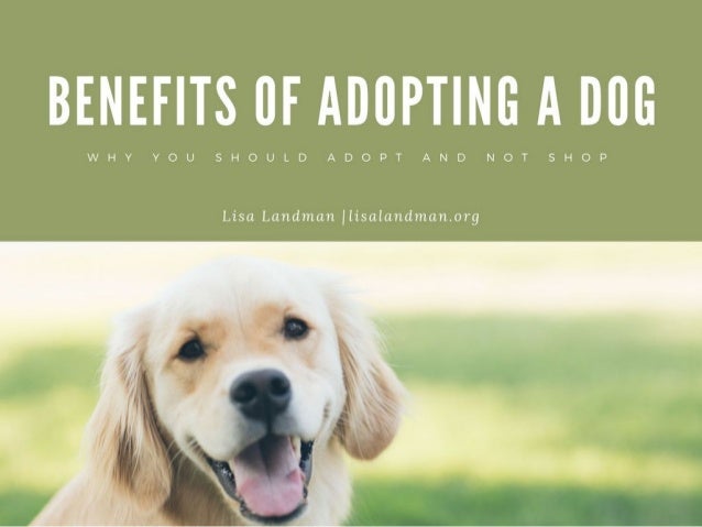Benefits Of Adopting A Dog Lisa Landman