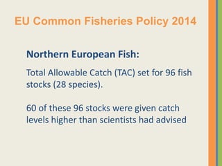 Baltic Sea Fish (10 stocks):
In 2015: 5 out of 10 stocks were given
catch levels higher than scientists had
advised
EU Com...