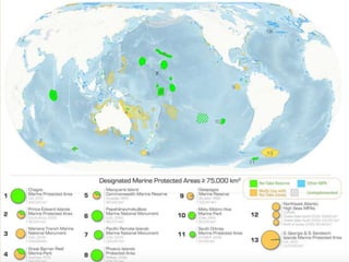 New Cases - Depletion of marine life - Lisa Mead