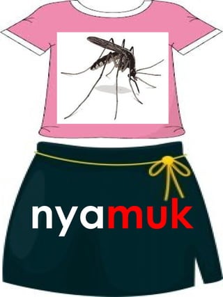nyamuk
 