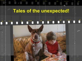 Tales of the unexpected!
 