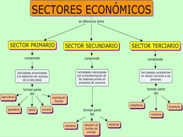 sectores de la produccion