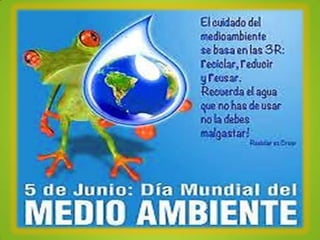 DIA DEL AMBIENTE