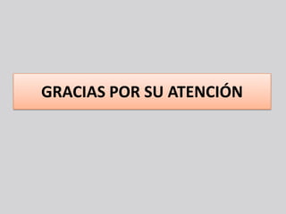 GRACIAS POR SU ATENCIÓN
 