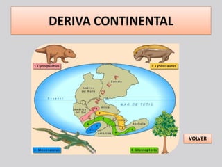 DERIVA CONTINENTAL




                     VOLVER
 