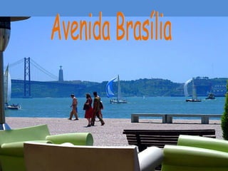 Avenida Brasília 