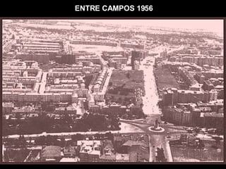 ENTRE CAMPOS 1956 