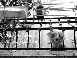 Vielas de Alfama
Beijadas pelo luar
 