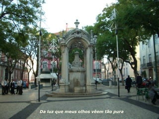 Da luz que meus olhos vêem tão pura   