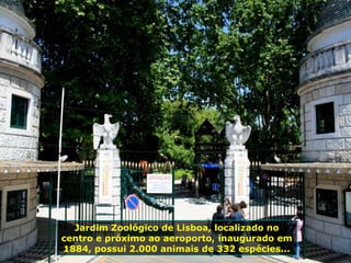 Jardim Zoológico de Lisboa, localizado no
centro e próximo ao aeroporto, inaugurado em
1884, possui 2.000 animais de 332 espécies...
 