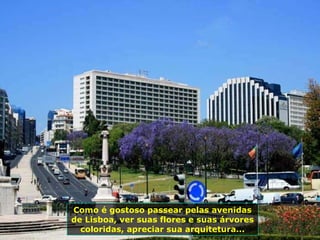 Como é gostoso passear pelas avenidas de Lisboa, ver suas flores e suas árvores coloridas, apreciar sua arquitetura... 