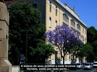 A beleza de seus prédios e suas árvores floridas, estão por toda parte... 