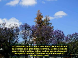 Eu vi e falei muito pouco de Lisboa. Sua história e sua beleza são grandiosas demais. Lisboa é cidade para visitar e voltar, voltar muitas vezes, descobrir cada pedacinho de chão dessa cidade querida... (ai que cenário lindo)  
