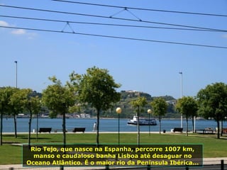 Rio Tejo, que nasce na Espanha, percorre 1007 km, manso e caudaloso banha Lisboa até desaguar no Oceano Atlântico. É o maior rio da Península Ibérica... 