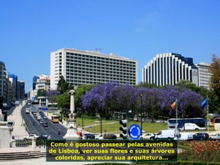 Como é gostoso passear pelas avenidas de Lisboa, ver suas flores e suas árvores coloridas, apreciar sua arquitetura... 