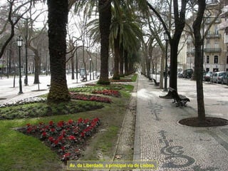 Av. da Liberdade, a principal via de Lisboa. 