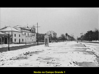 Nevão no Campo Grande 1
 