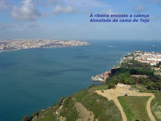 À ribeira encosto a cabeça
Almofada da cama do Tejo
 