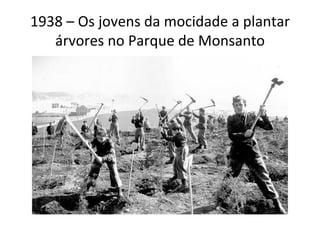 1938 – Os jovens da mocidade a plantar árvores no Parque de Monsanto 