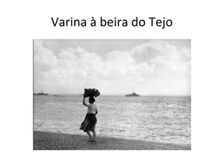 Varina à beira do Tejo

 