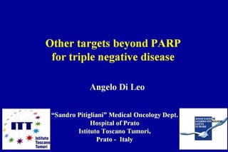 ABC1 - A. Di Leo - Other targets beyond PARP for TN disease