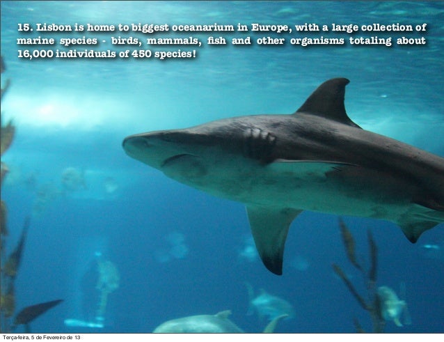 Lisbon Best City to Live for Expats in 2013