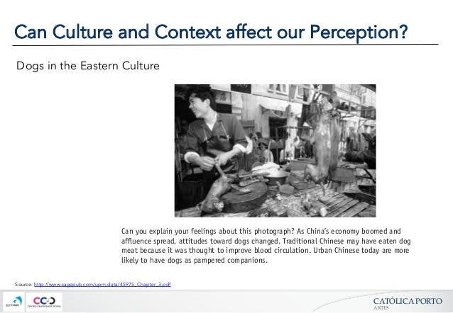 culture’s influence on perception How culture influences health beliefs all cultures have systems of health beliefs to explain what causes illness, how it can be cured or treated. culture’s influence on perception How culture influences health beliefs all cultures have systems of health beliefs to explain what causes illness, how it can be cured or treated.