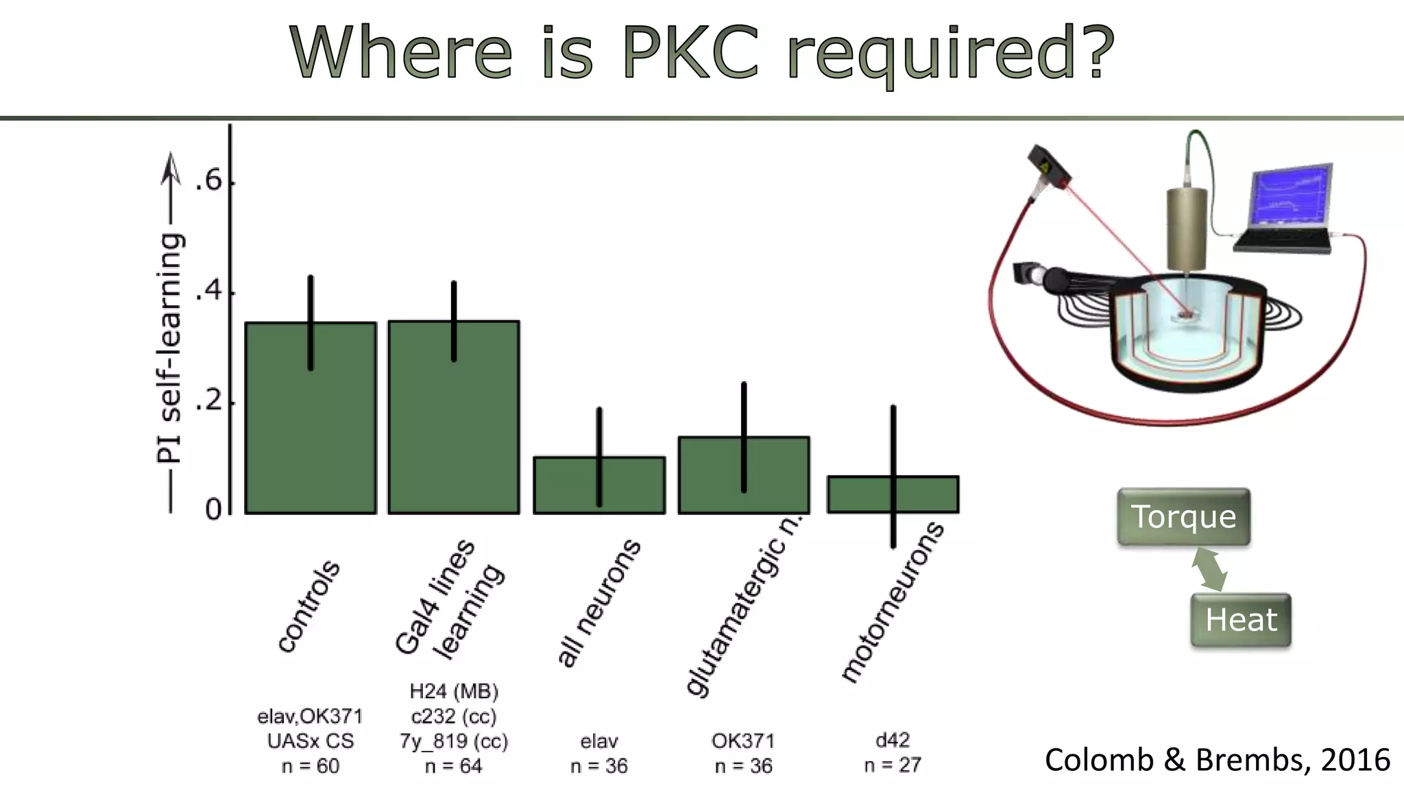 Torque
Heat
Colomb & Brembs, 2016
 