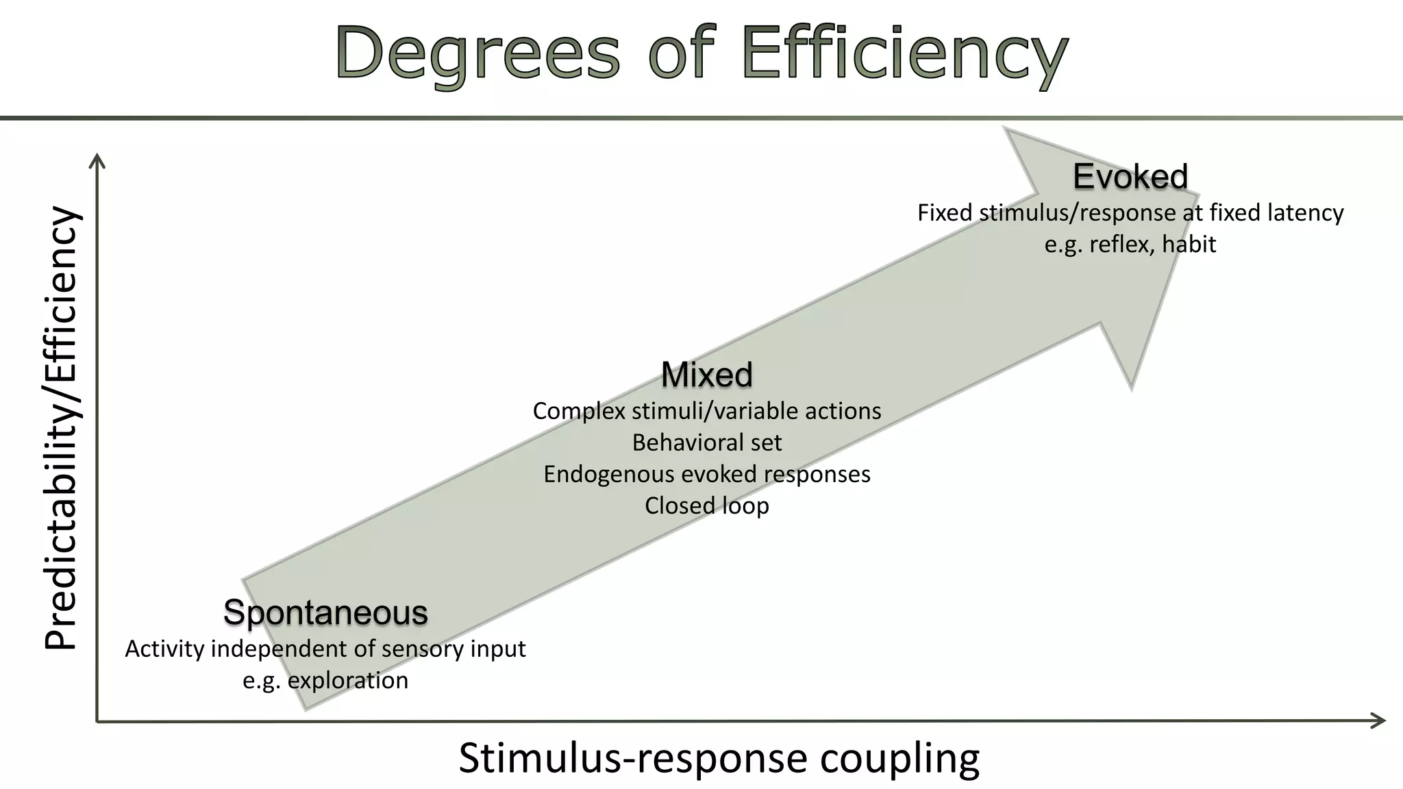 Spontaneous
Activity independent of sensory input
e.g. exploration
Mixed
Complex stimuli/variable actions
Behavioral set
Endogenous evoked responses
Closed loop
Evoked
Fixed stimulus/response at fixed latency
e.g. reflex, habit
Stimulus-response coupling
Predictability/Efficiency
 