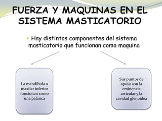 FUERZA Y MAQUINAS EN EL
SISTEMA MASTICATORIO
 Hay distintos componentes del sistema
masticatorio que funcionan como maquina
La mandíbula o
maxilar inferior
funcionan como
una palanca
Sus puntos de
apoyo son la
eminencia
articular y la
cavidad glenoidea
 