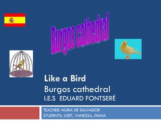 Like a Bird Burgos cathedral I.E.S  EDUARD FONTSERÉ TEACHER: NURIA DE SALVADOR STUDENTS: LISET, VANESSA, DIANA Burgos cathedral 