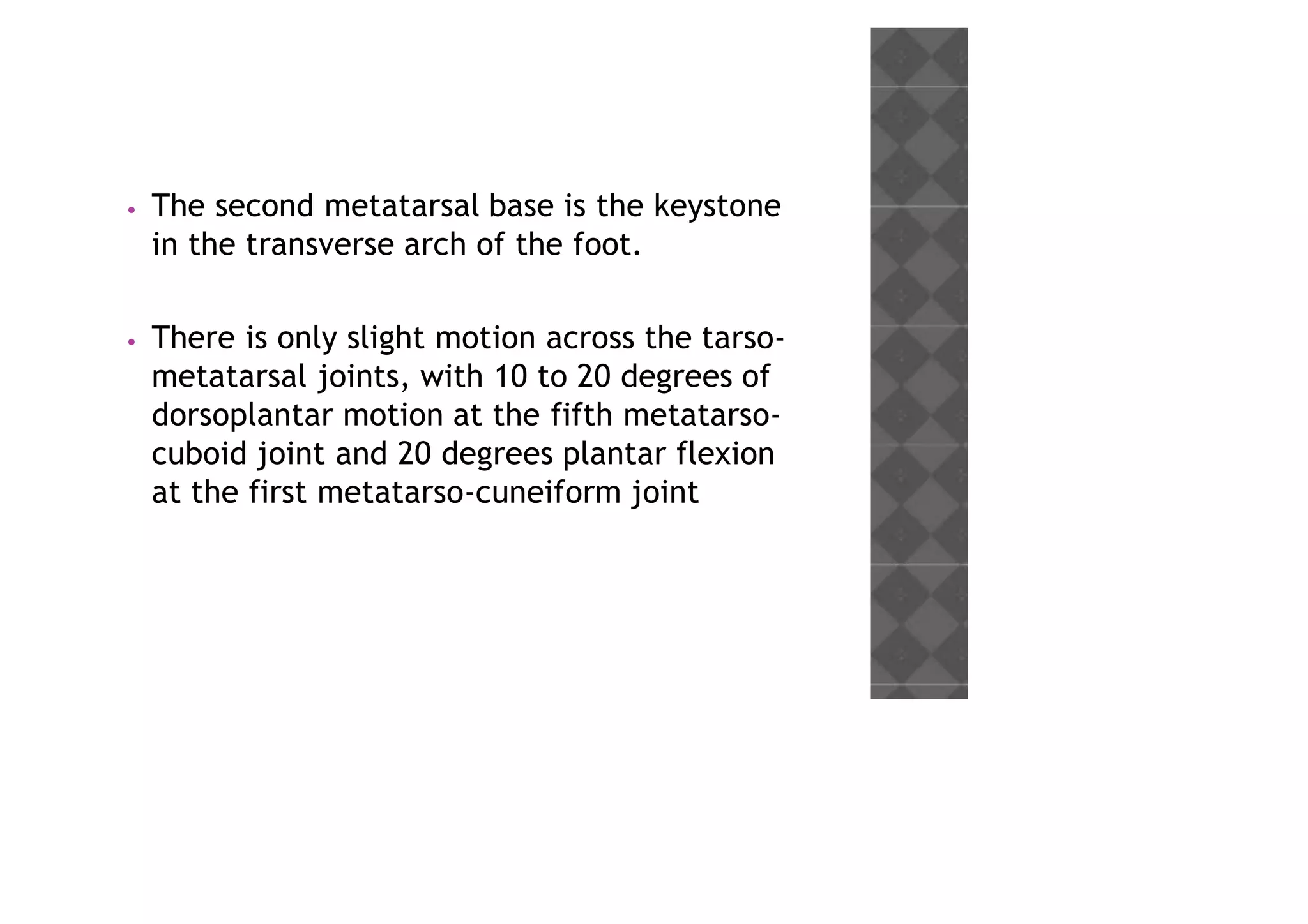 • The second metatarsal base is the keystone
in the transverse arch of the foot.
• There is only slight motion across the tarso-
metatarsal joints, with 10 to 20 degrees of
dorsoplantar motion at the fifth metatarso-
cuboid joint and 20 degrees plantar flexion
at the first metatarso-cuneiform joint
 