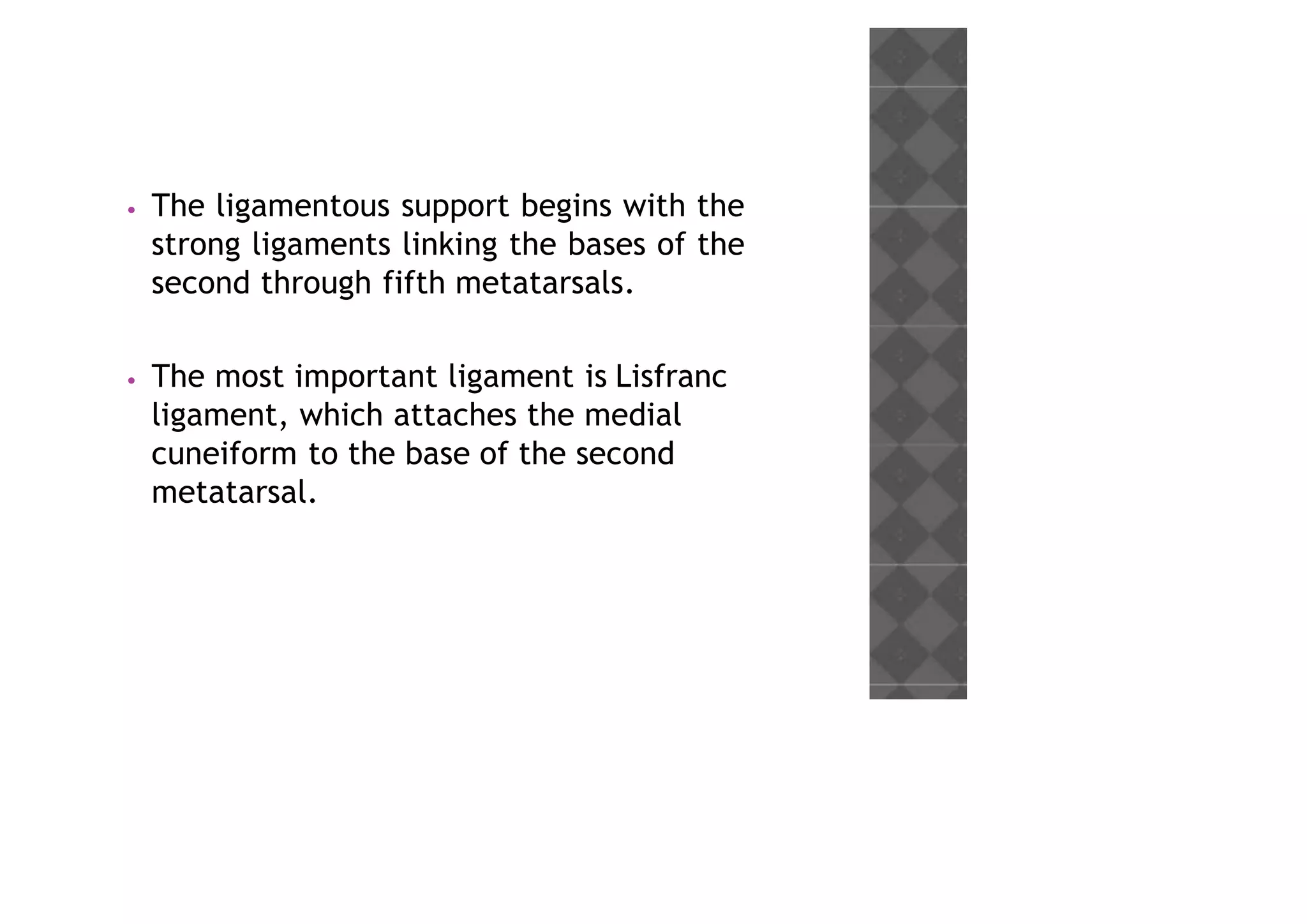 • The ligamentous support begins with the
strong ligaments linking the bases of the
second through fifth metatarsals.
• The most important ligament is Lisfranc
ligament, which attaches the medial
cuneiform to the base of the second
metatarsal.
 
