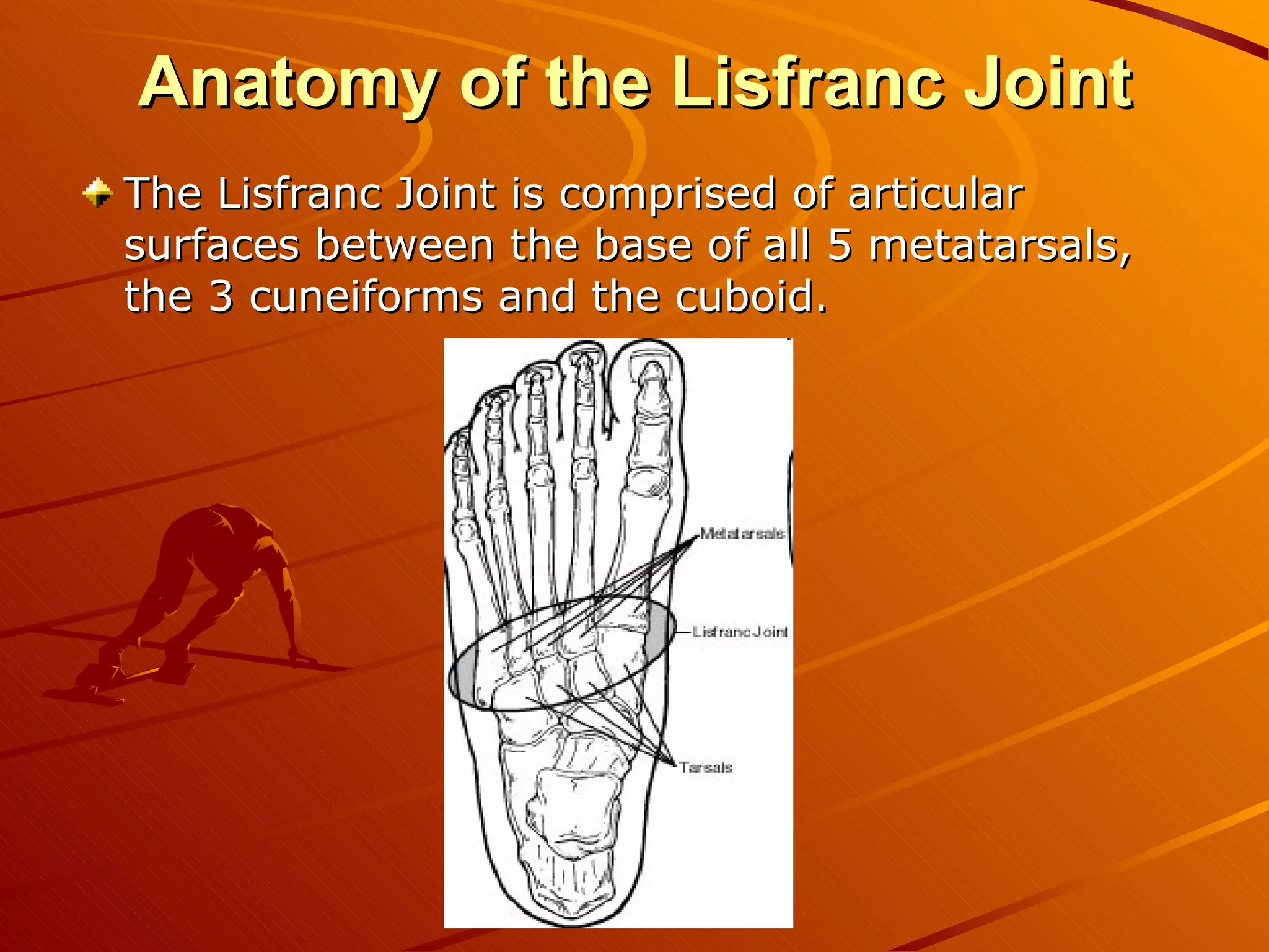 Anatomy of the Lisfranc Joint The Lisfranc Joint is comprised of articular surfaces between the base of all 5 metatarsals, the 3 cuneiforms and the cuboid. 