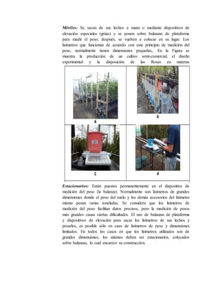 Móviles: Se sacan de sus lechos a mano o mediante dispositivos de
elevación especiales (grúas) y se ponen sobre balanzas de plataforma
para medir el peso; después, se vuelven a colocar en su lugar. Los
lisímetros que funcionan de acuerdo con este principio de medición del
peso, normalmente tienen dimensiones pequeñas,. En la Figura se
muestra la producción de un cultivo semi-comercial, el diseño
experimental y la disposición de las Rosas en materas
Estacionarios: Están puestos permanentemente en el dispositivo de
medición del peso (la balanza). Normalmente son lisímetros de grandes
dimensiones donde el peso del suelo y los demás accesorios del lisímetro
mismo pesan varias toneladas. Se considera que los lisímetros de
medición del peso facilitan datos precisos, pero la medición de pesos
más grandes causa ciertas dificultades. El uso de balanzas de plataforma
y dispositivos de elevación para sacar los lisímetros de sus lechos y
pesarlos, es posible sólo en caso de lisímetros de peso y dimensiones
limitados. En todos los casos en que los lisímetros utilizados son de
grandes dimensiones, los mismos deben ser estacionarios, colocados
sobre balanzas, lo cual encarece su construcción.
 