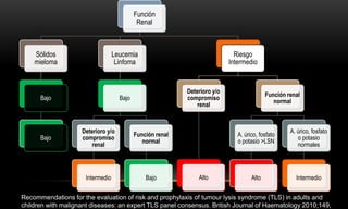 Tls Risk Table Lisis tumoral | PPTX