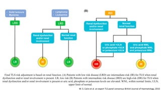 Tls Risk Table Lisis tumoral | PPTX